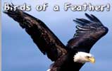 Birds of a feather flock together to learn at Enspire events!